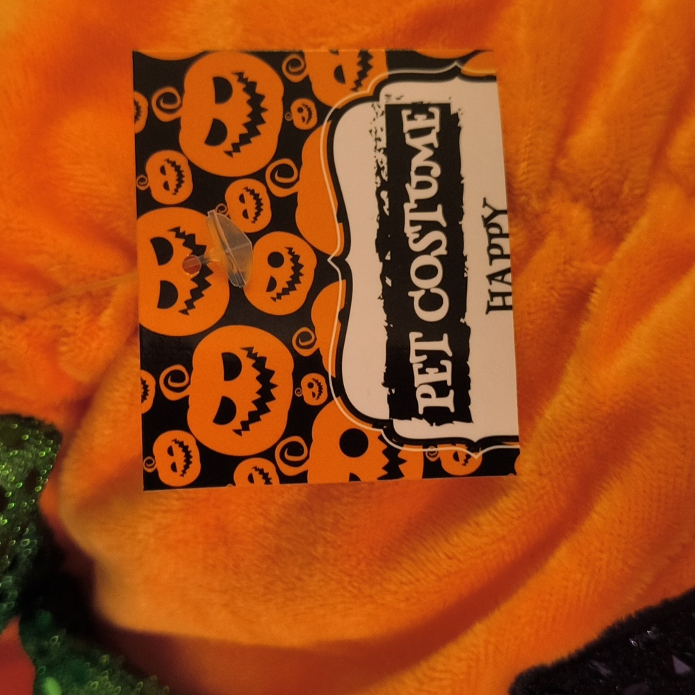 Dog Costumes - Picture 4 of 5
